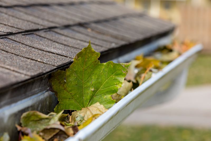 Gutter System with Leaf Protection