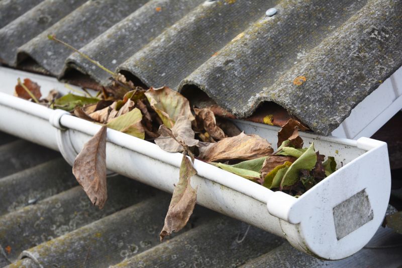 Clogged Gutter
