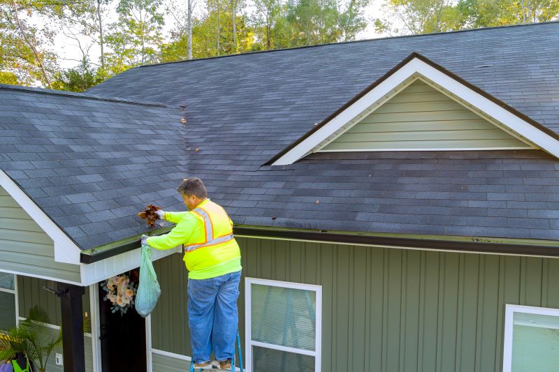 Gutter Cleaning Experts